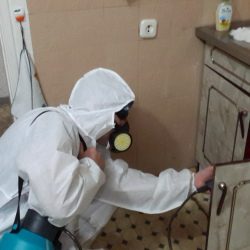 Дезинфекция от муравьев в квартире в Железноводске