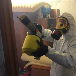 Уничтожение клопов в квартире. Железноводск